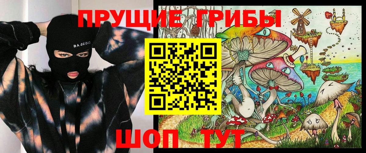 Псилоцибиновые грибы прущие грибы Старая Купавна