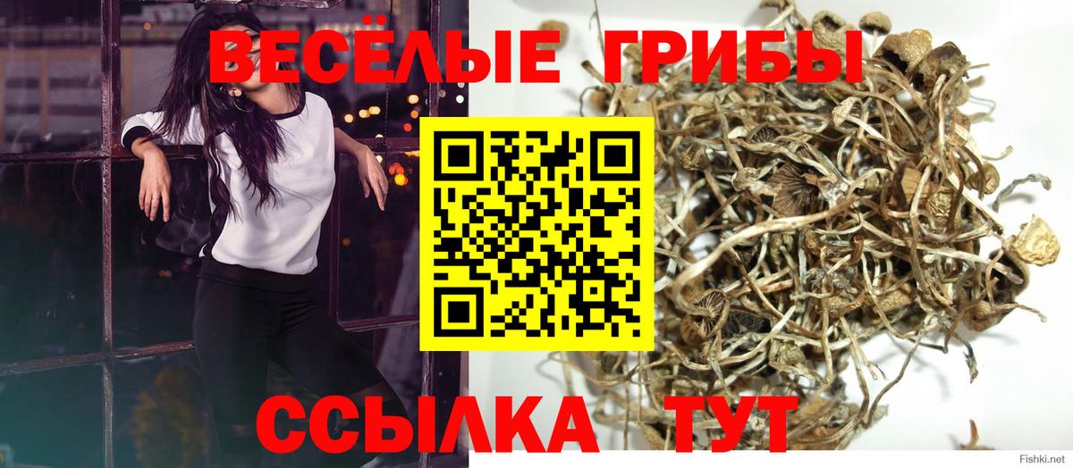 Старая Купавна  Галлюциногенные грибы мицелий  Галлюциногенные грибы Magic Shrooms  Вход с VPN 